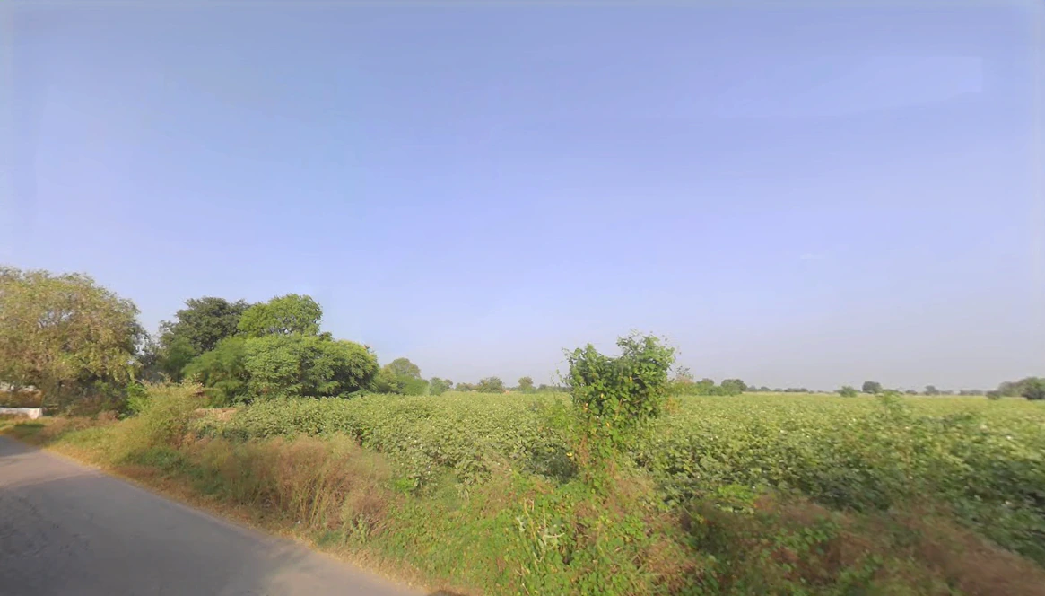 Kirawar, Haryana 127035, India