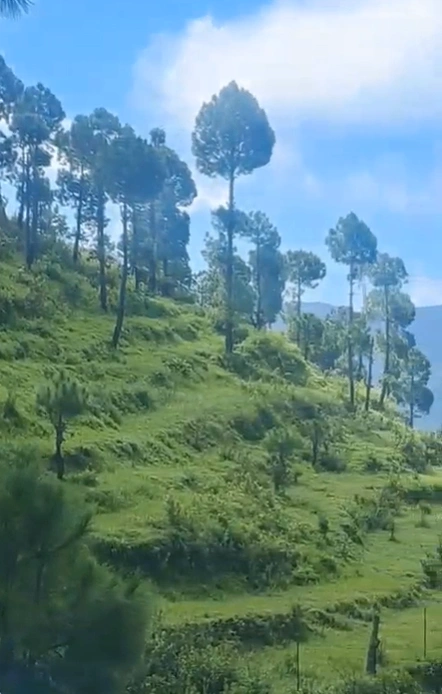 Palikhal, Pauri Garhwal, Uttarakhand, India