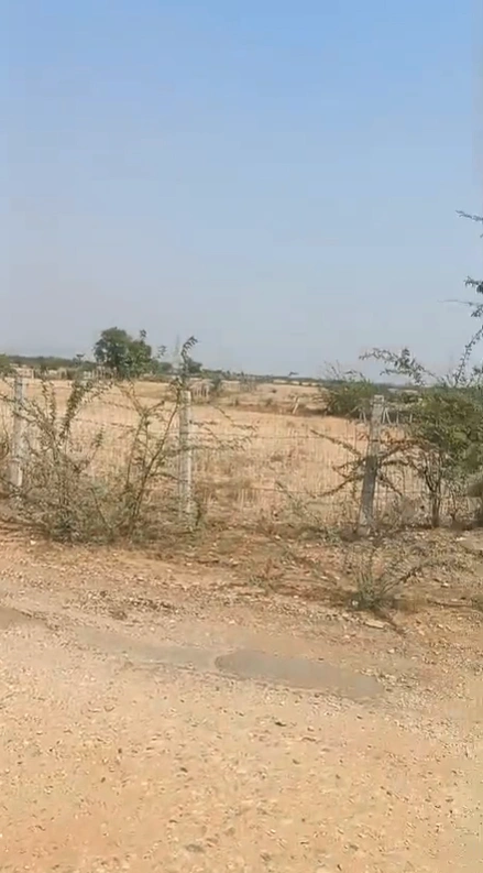 RWQ9+8H Chak Mulajman, Bikaner, Rajasthan, India