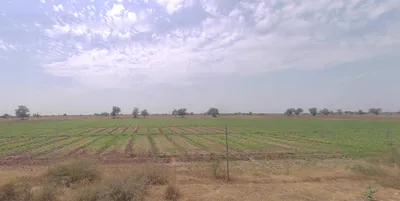 Chilbila, Uttar Pradesh 221204, India preview 2