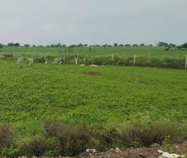 Susner, Madhya Pradesh 465447, India