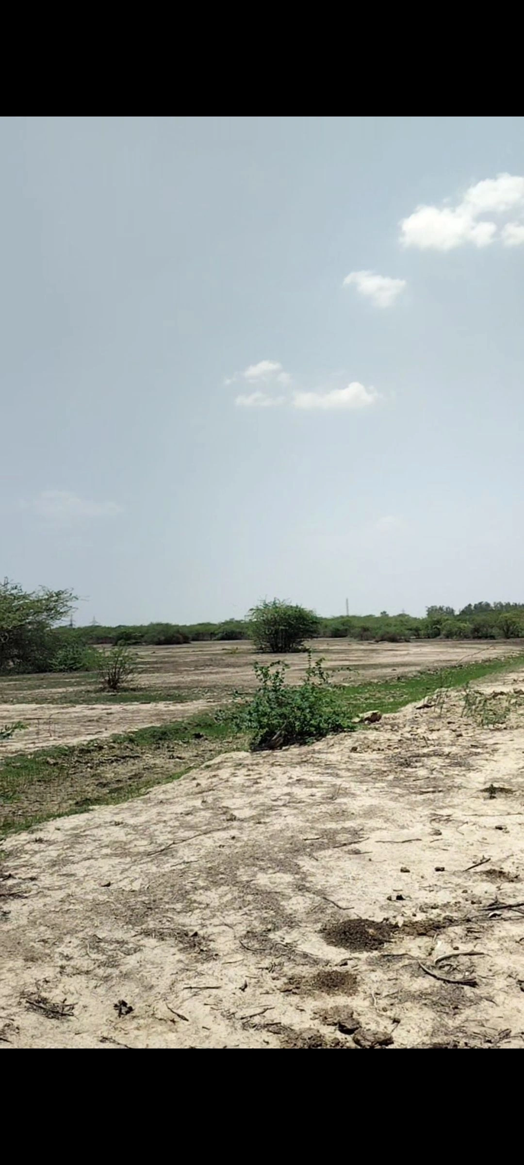 Sarsaul, Kanpur, Kanpur Nagar, Uttar Pradesh, India