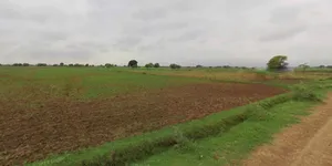 Bikaner, Rajasthan, India preview 2