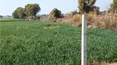 Kali Khol, Rajasthan 301001, India preview 2
