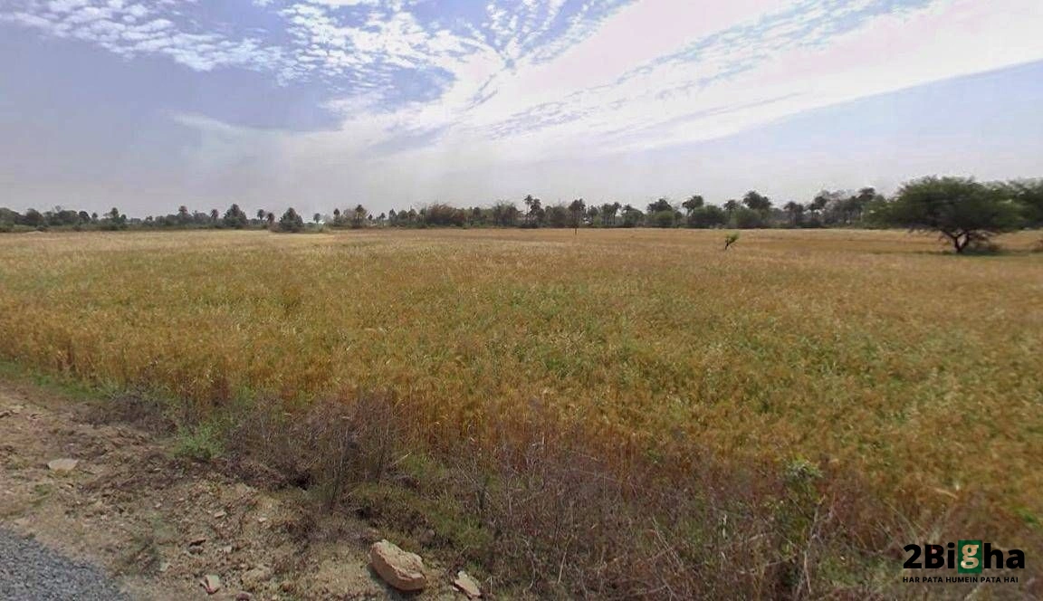 Rewa, Madhya Pradesh, India