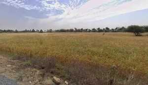 Rewa, Madhya Pradesh, India preview 2