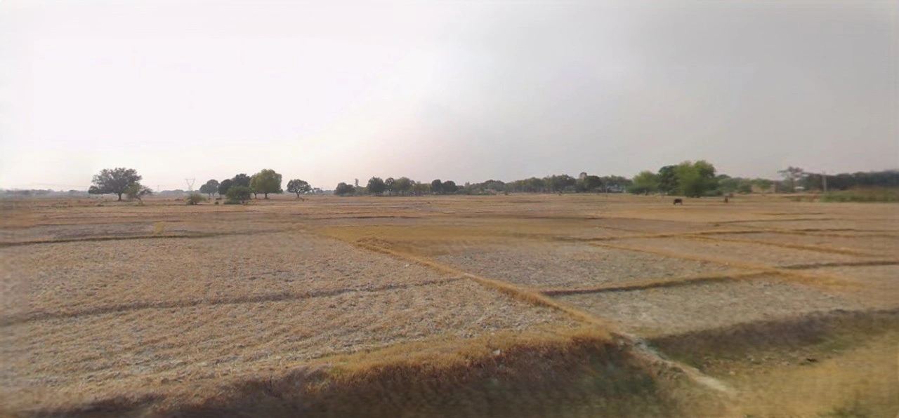 Sonipat, Haryana, India