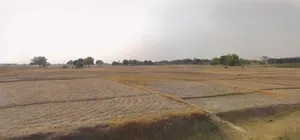 Sonipat, Haryana, India preview 2