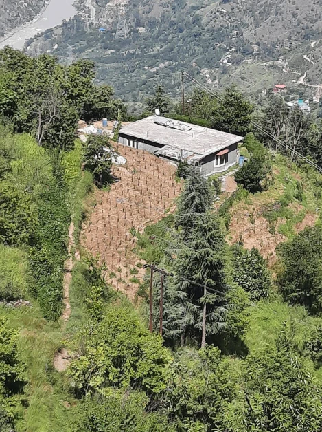 Shillai, Sirmaur, Himachal Pradesh 173027, India