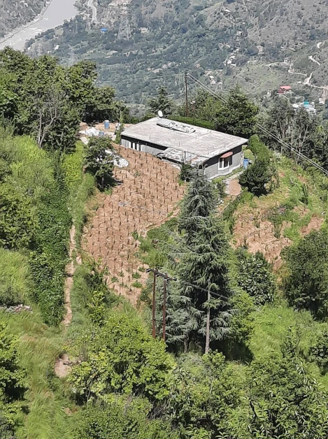 Shillai, Sirmaur, Himachal Pradesh 173027, India - Photo 3