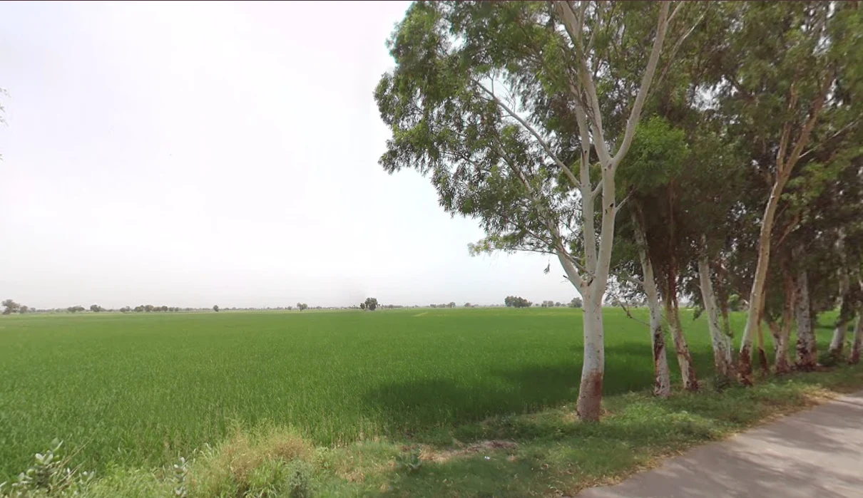 Salarpur, Haryana 125055, India