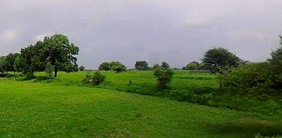Chandla, Madhya Pradesh 471525, India