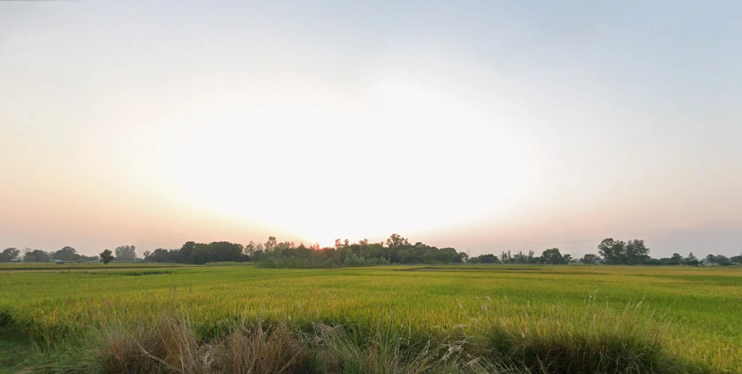 Nigohi, Uttar Pradesh 242407, India