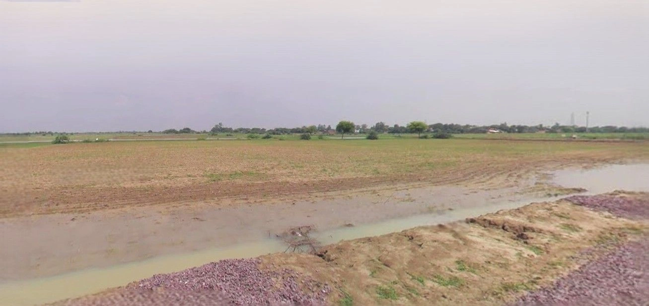 Majhola Pakarya, Pilibhit SH-29, Tanakpur Rd, Officer's Colony, Pilibhit, Uttar Pradesh 262001, India