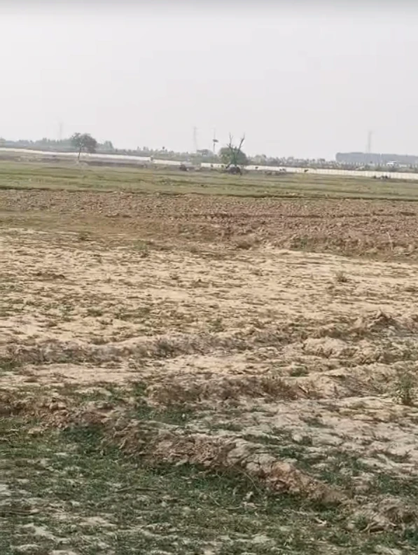Chamroda, Kishangarh Bas, Khairthal-Tijara, Rajasthan, India