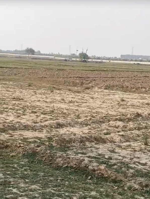 Chamroda, Kishangarh Bas, Khairthal-Tijara, Rajasthan, India