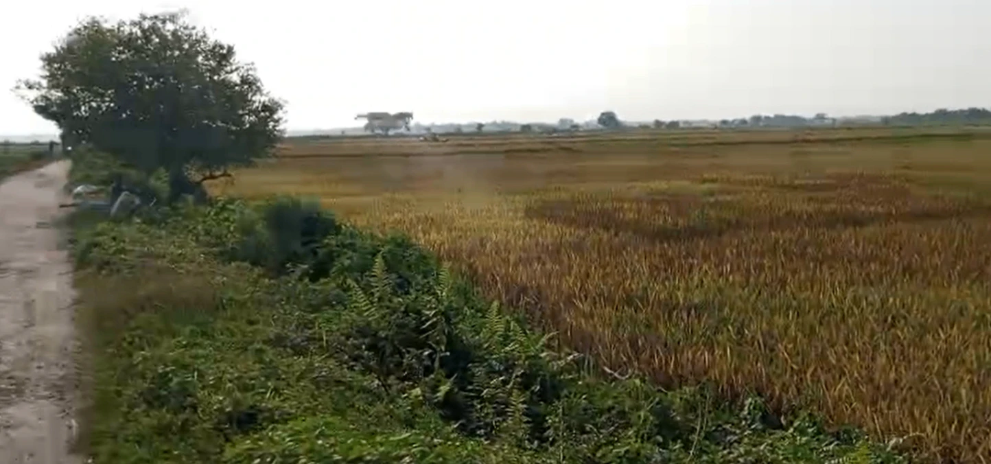 Khetri, Assam 782403, India