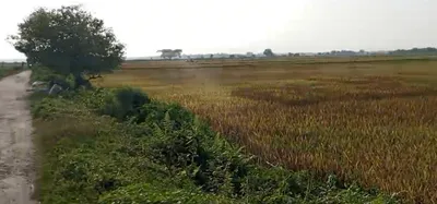 Khetri, Assam 782403, India preview 2