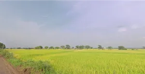 Khakhdi, Gujarat 384240, India preview 3