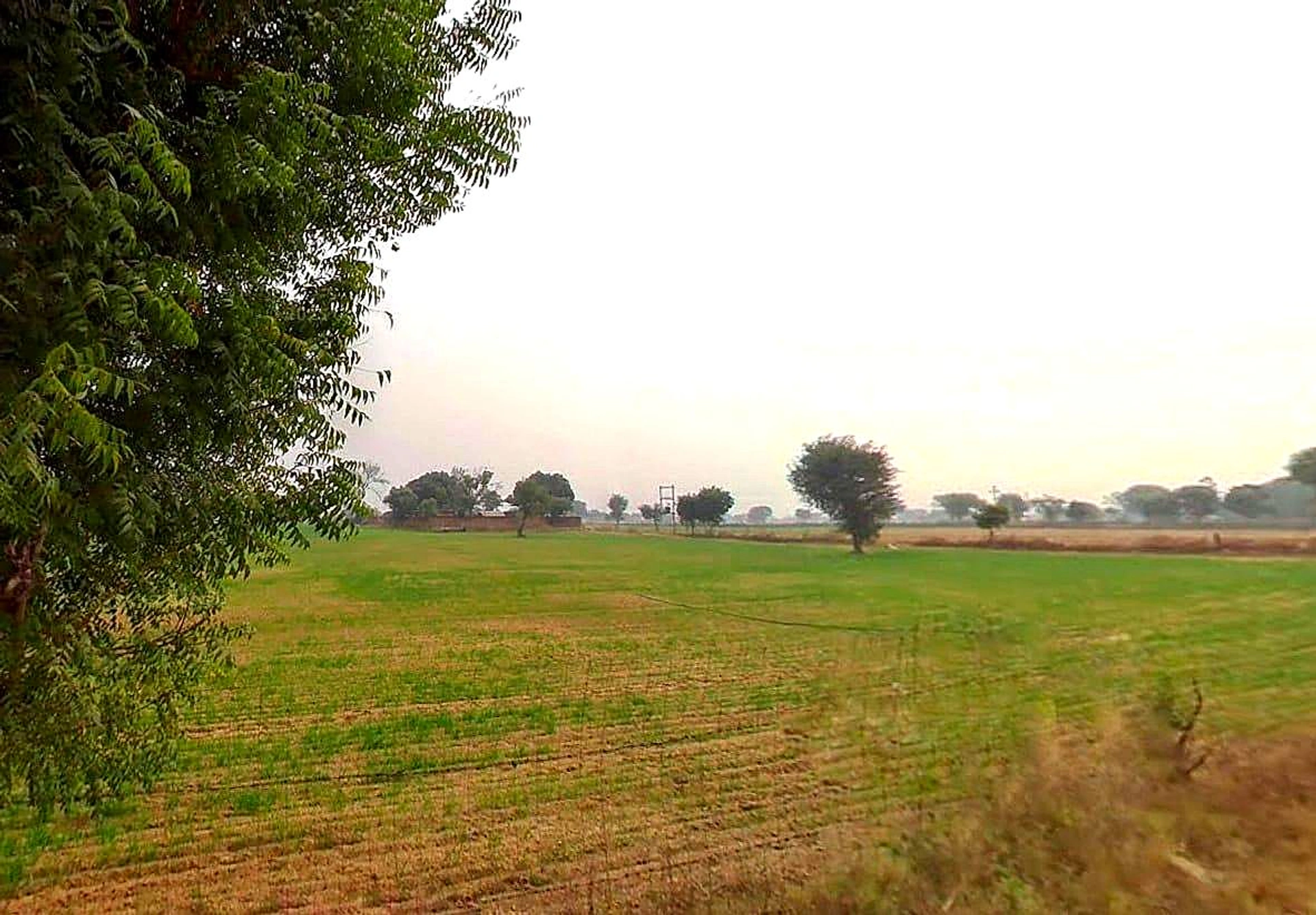 WGXQ+P34, Pachar, Rajasthan 303706, India