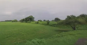 Laksar, Uttarakhand 247663, India preview 2