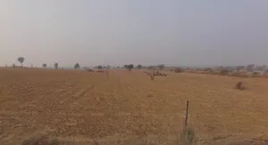 Bhoorasar, Rajasthan, India preview 3