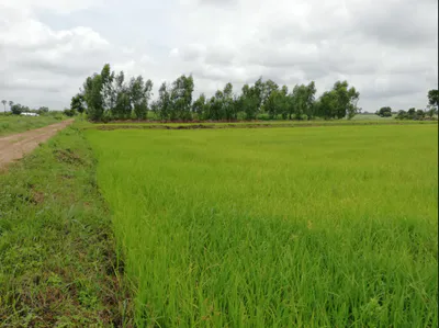 Sultanganj, Madhya Pradesh, India preview 3