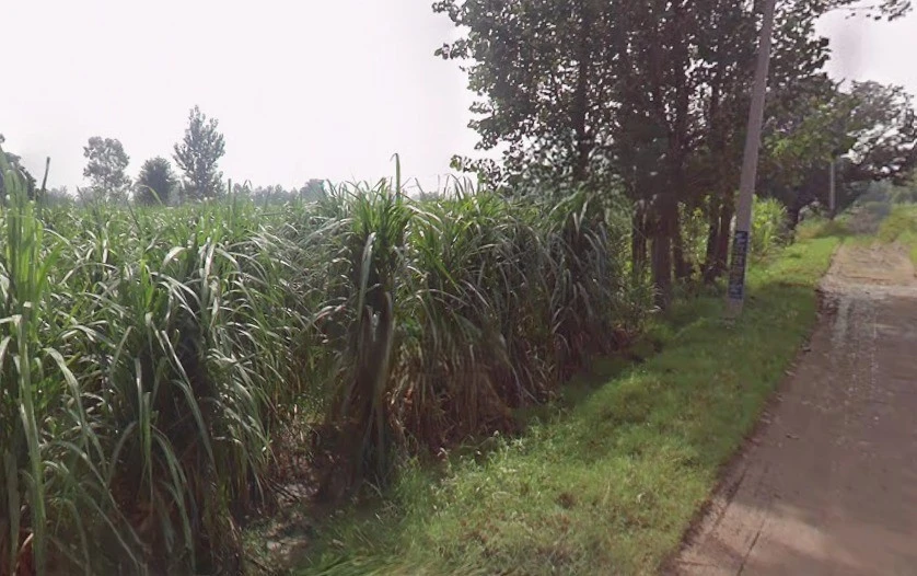 Datiyana, Uttar Pradesh, India