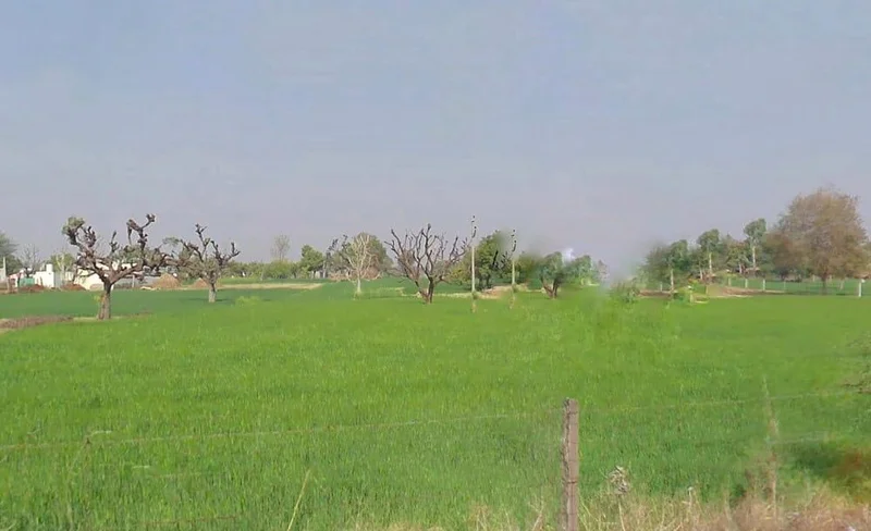 Jobner, Rajasthan, India preview 2