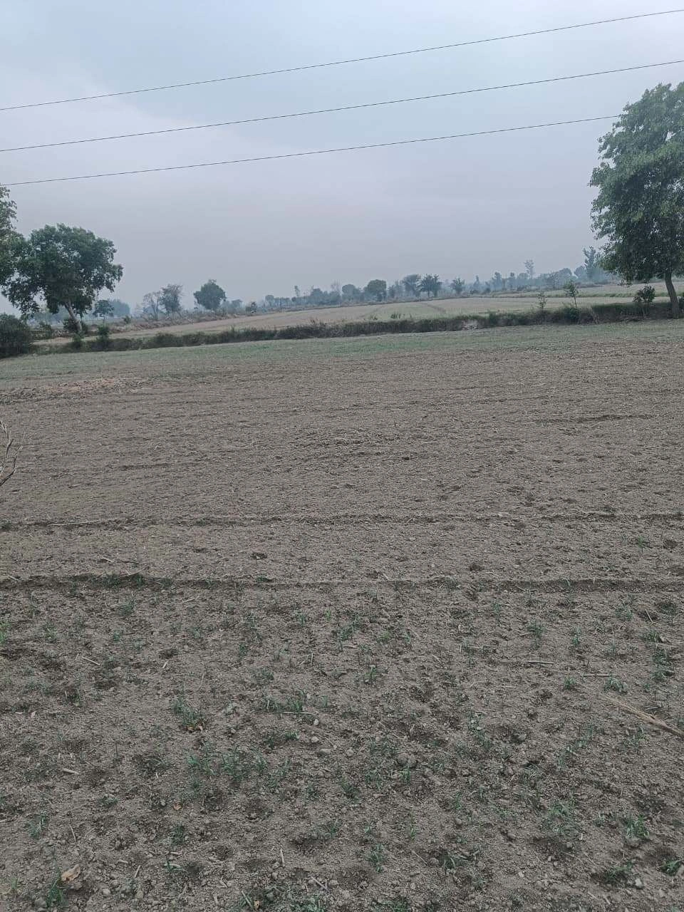 Bawani Khera, Haryana 127032, India