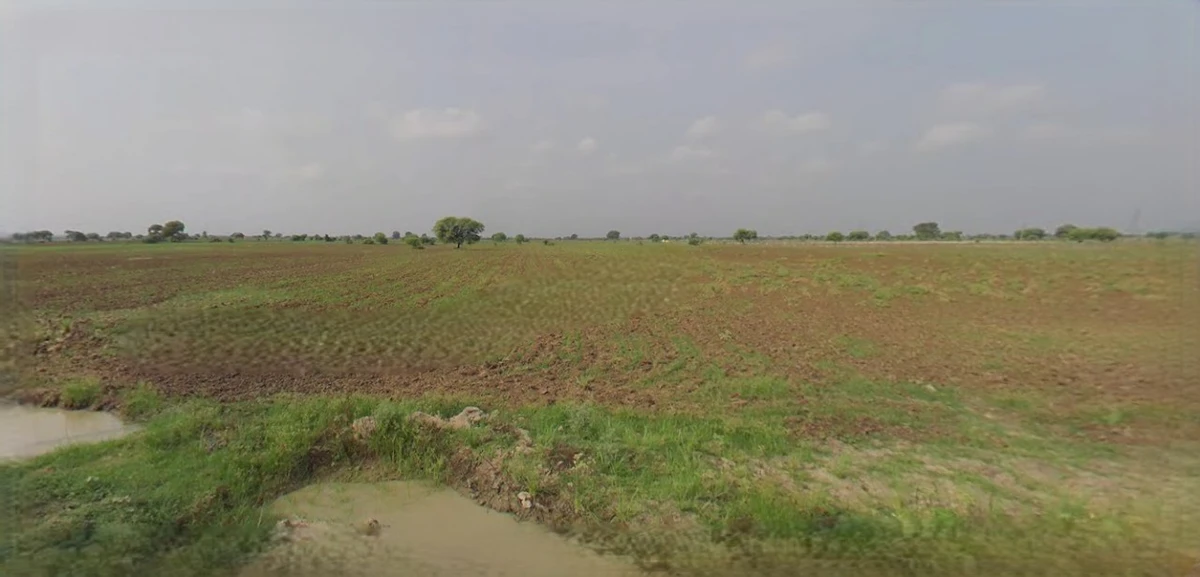 Barnagar, Madhya Pradesh 456771, India
