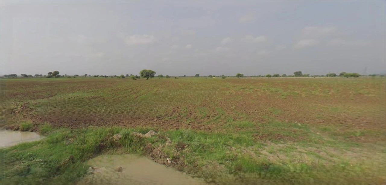 Barnagar, Madhya Pradesh 456771, India