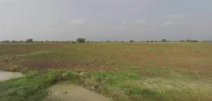 Barnagar, Madhya Pradesh 456771, India preview 3