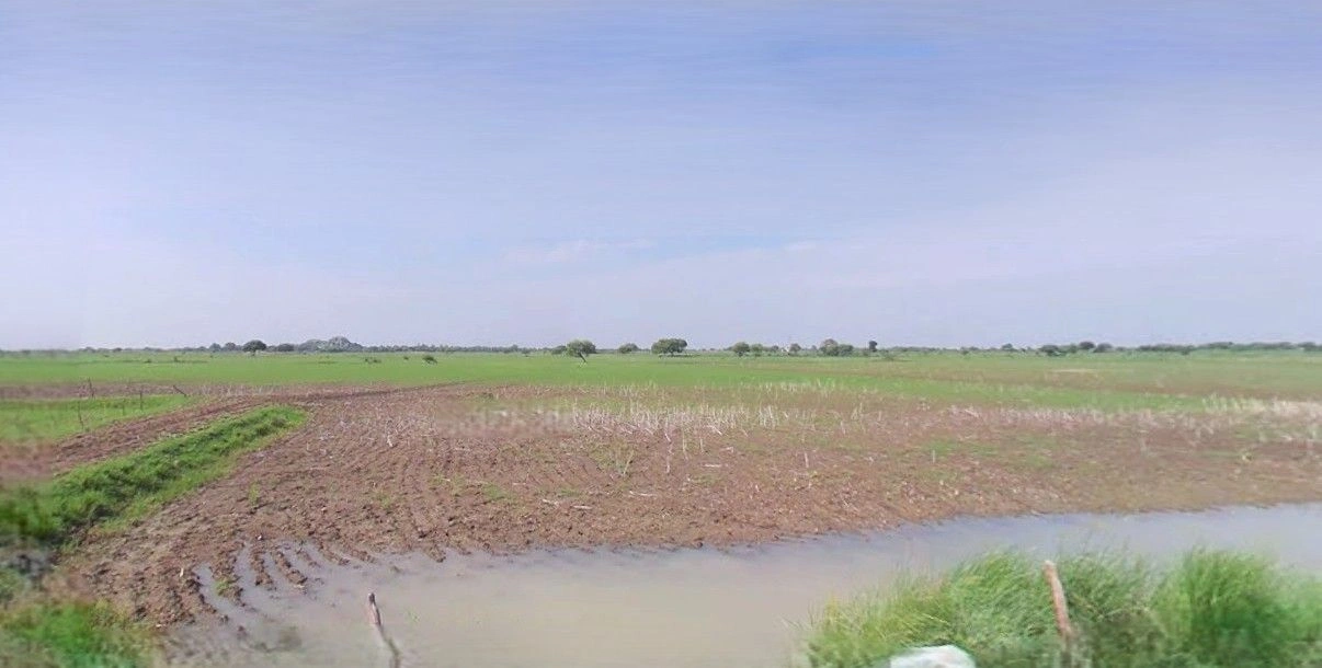 Barnagar, Madhya Pradesh 456771, India preview 2