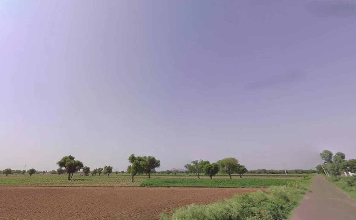 Satnali, Haryana 123024, India