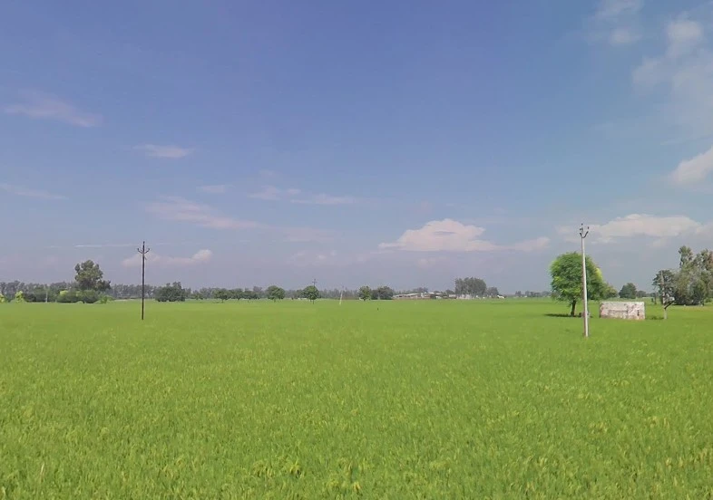 Bhinder Khurd, Punjab 142041, India