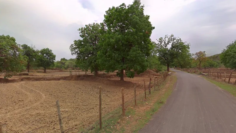 Pandri Pani, Chhattisgarh, India preview 2