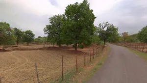 Pandri Pani, Chhattisgarh, India preview 2