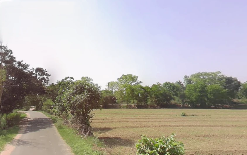 Alamnagar, Uttar Pradesh 245208, India