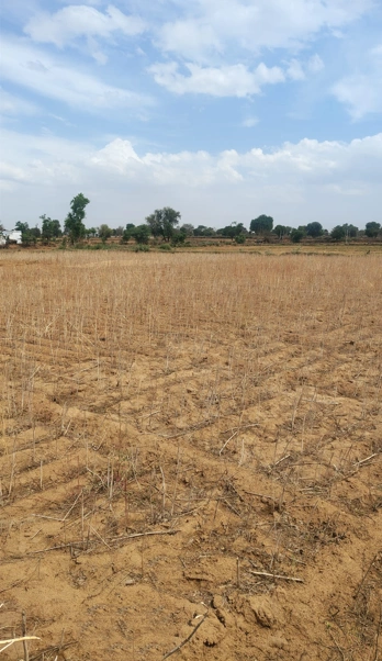 Jaithal, Rajasthan 323301, India