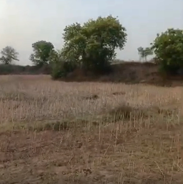 V3VH+P38, Anora Kala, Uttar Pradesh, India