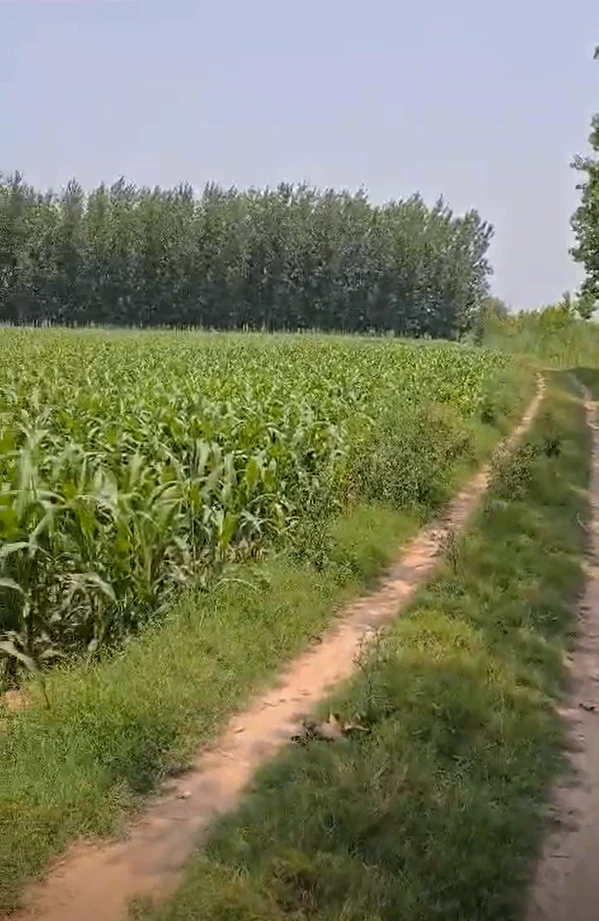 Kabrai, Mahoba, Uttar Pradesh 210424, India