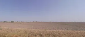 5VPM+32 Jarvala, Gujarat, India preview 2