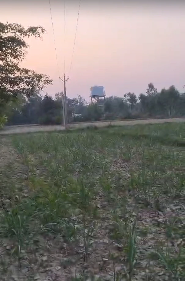 Laharpur, Uttar Pradesh 261135, India