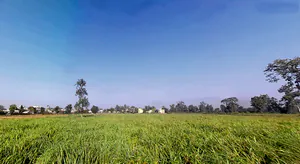 Shyampur, Rishikesh, Uttarakhand 249204, India preview 3