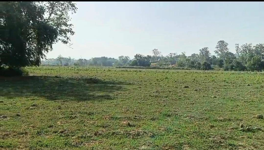 Sujrai, Kasganj, Uttar Pradesh 207241, India