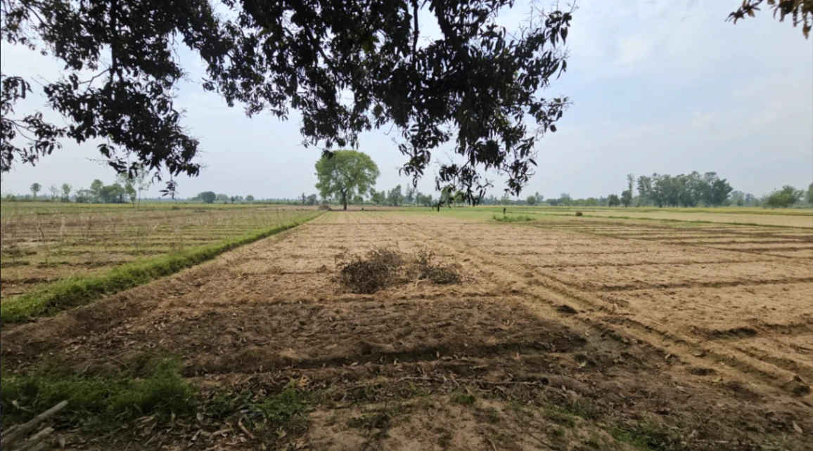 6MJ9+9HG, Balekhan, Rajasthan 303712, India