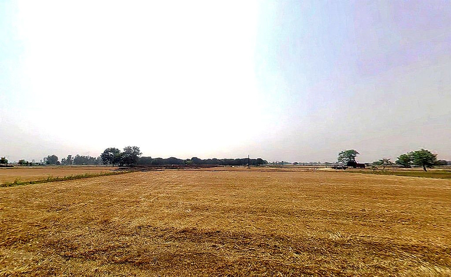 Luharli, Uttar Pradesh 201314, India