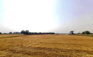Luharli, Uttar Pradesh 201314, India preview 2
