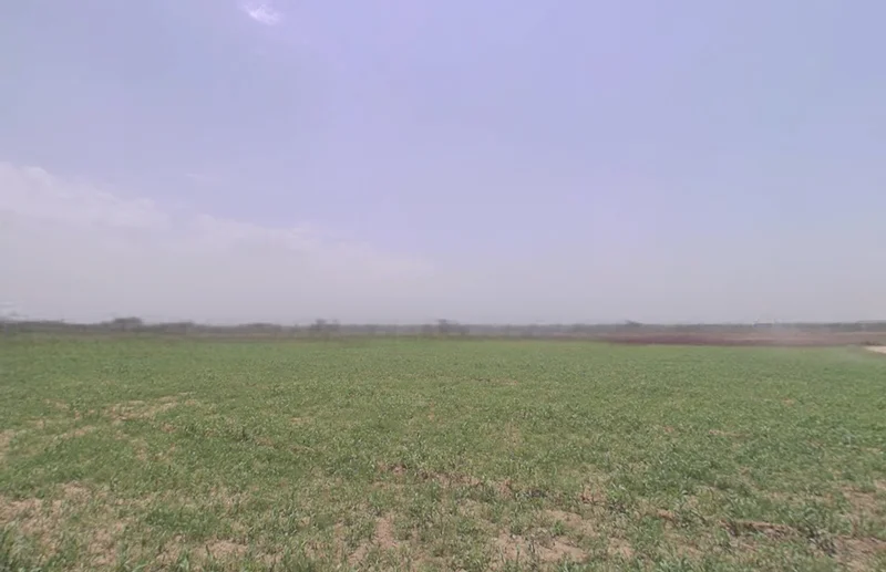 Rajpura, Punjab, India preview 3